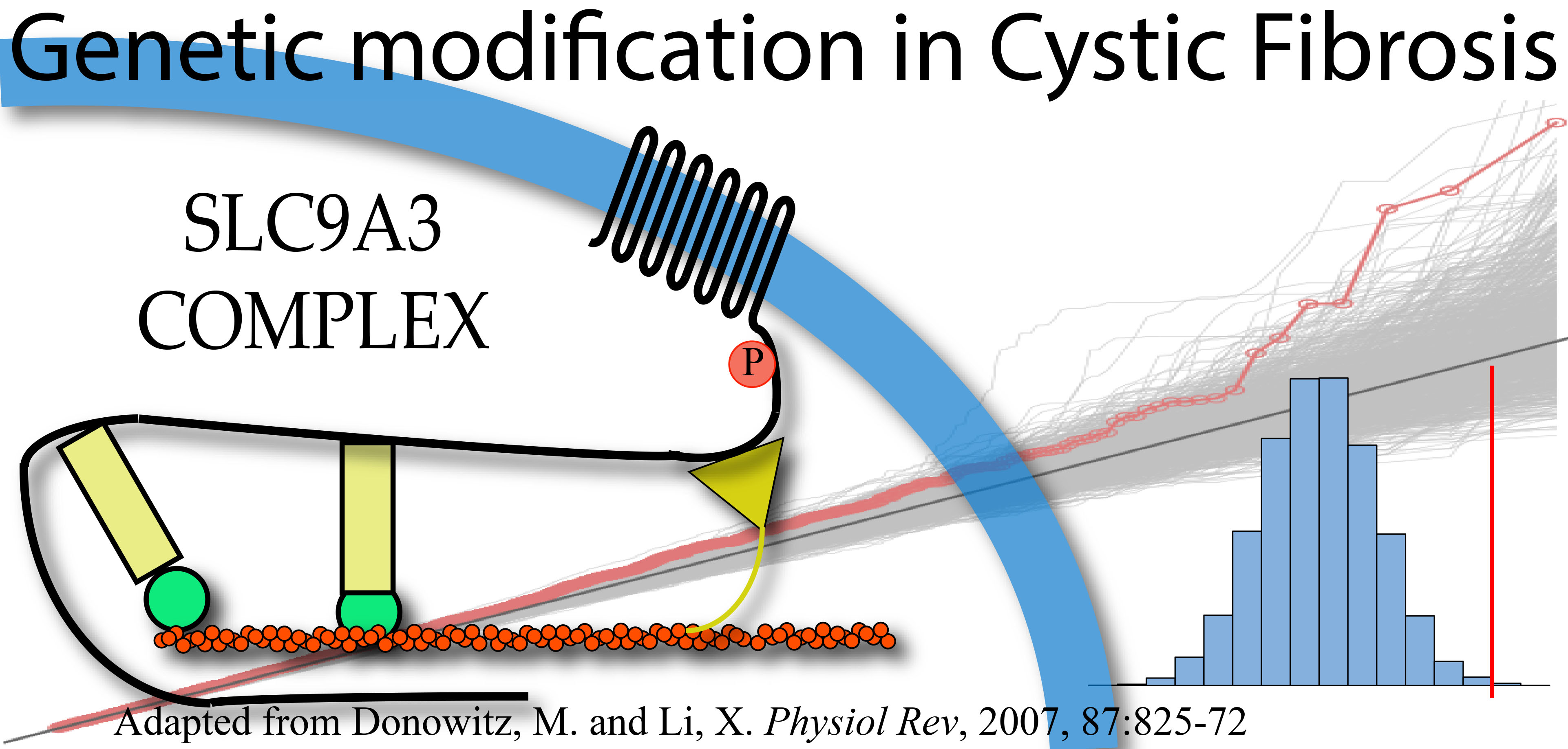 genetic modification in cystic fibrosis