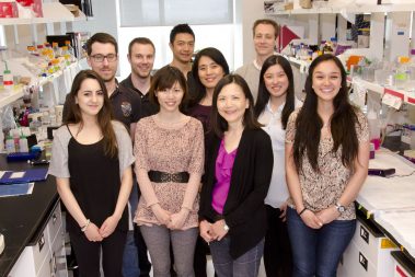 Huang Lab 2015