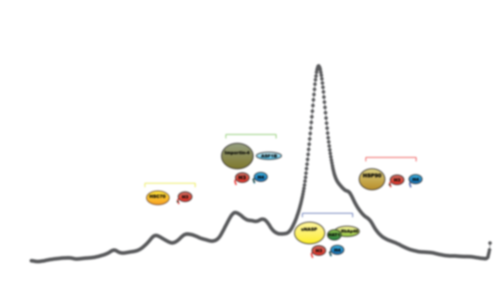 chromatography