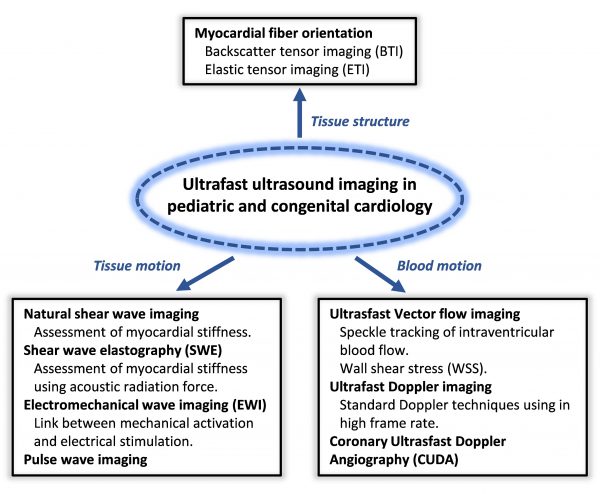 Flow chart of possible applications of ultrafast ultrasound imaging in pediatric cardiology including applications in tissue structure, tissue motion and blood motion.
