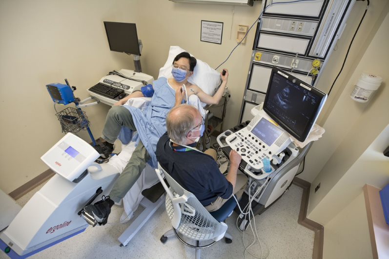 In the bicycle stress echo area, the sonographer is acquiring ultrasound images of the patient's heart while the patient is pedaling on the special bicycle
