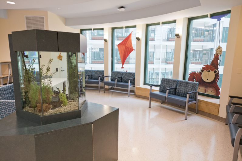 A waiting area with a fish tank, colourful window decorations and a multi-level view of the hospital.
