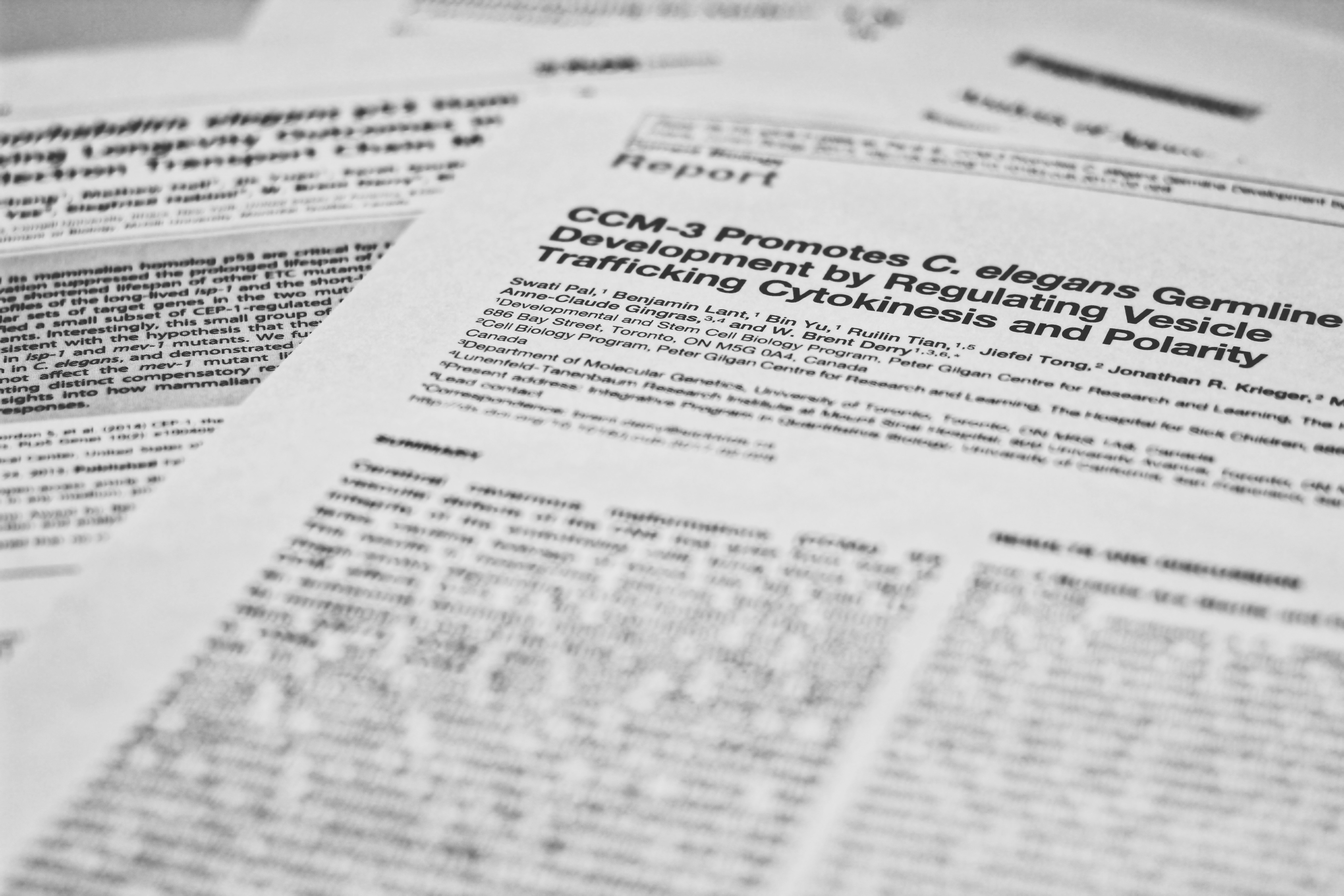 Our Papers