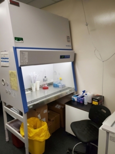Image depicting the Ditlev lab TC's room and biosafety cabinet.