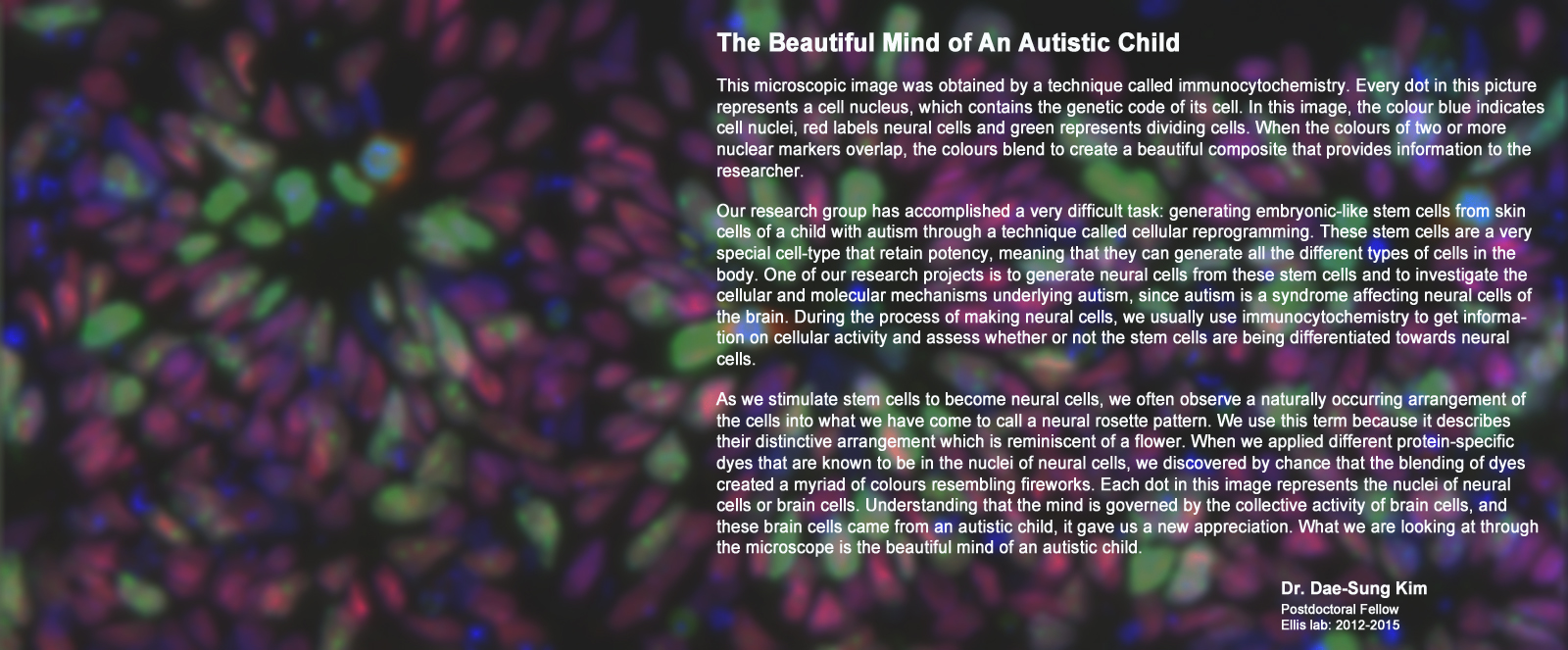 Beautiful mind of an autistic child