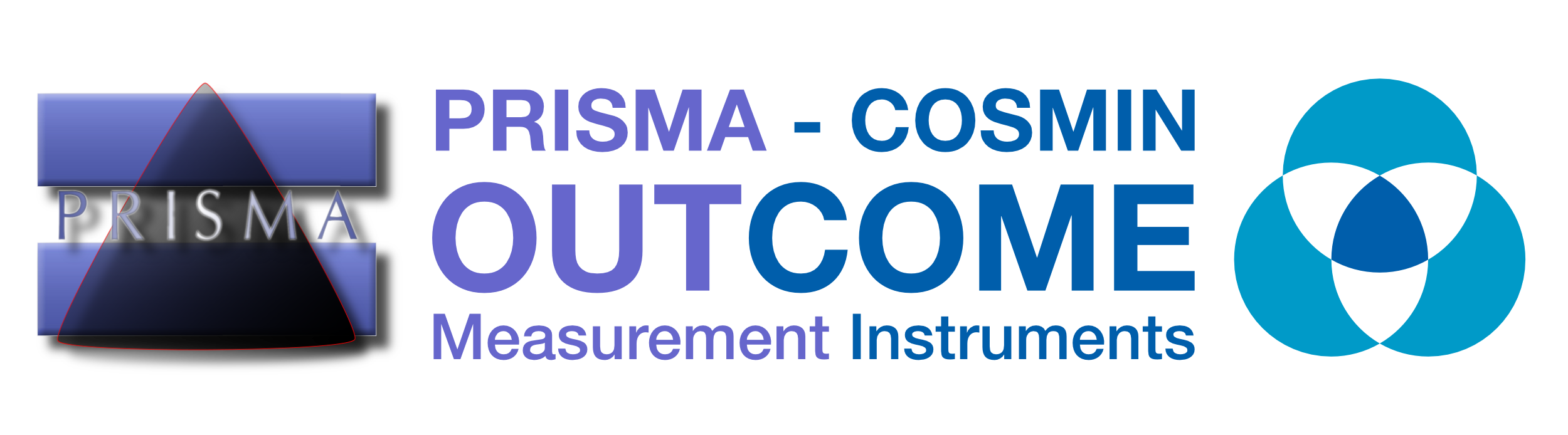 PRISMA-COSMIN for Outcome Measurement Instruments – EnRICH Team
