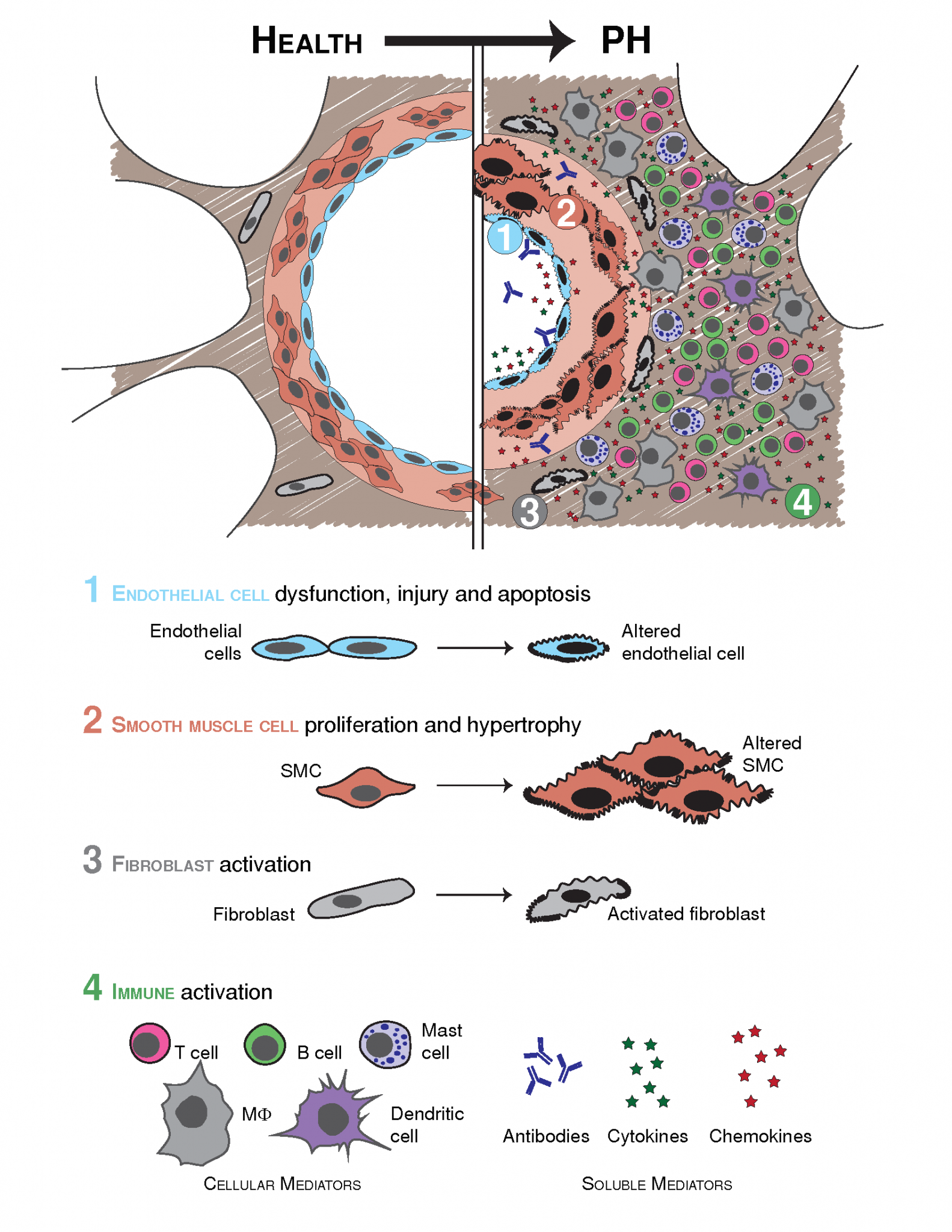 Goldenberg Lab | SickKids