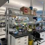 A lab bench and lab equipment at SickKids research institute