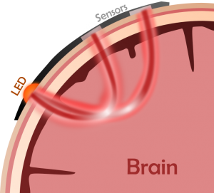 Graphic illustrating NIRS operation - an led emits light through the skull to the brain which reflects the light absorbed by the sensors on the other side of the probe