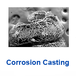 link for corrosion casting