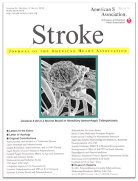 Stroke Journal cover - work published in 2003