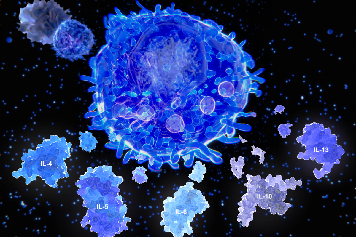T helper cells surrounding a pathogen