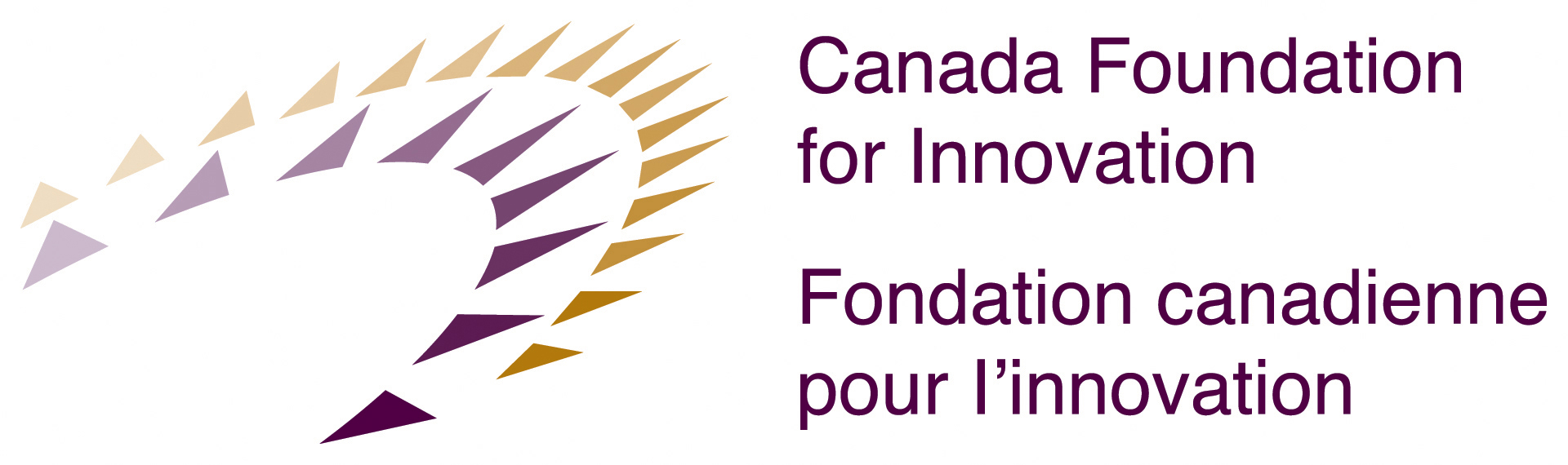 CFI logo