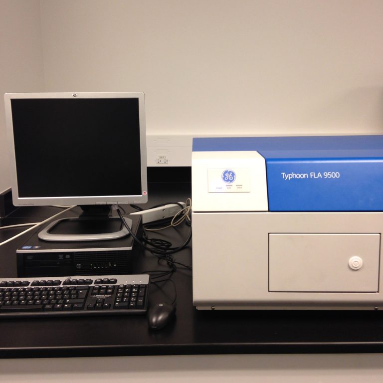 Accessory systems SickKids Imaging Facility