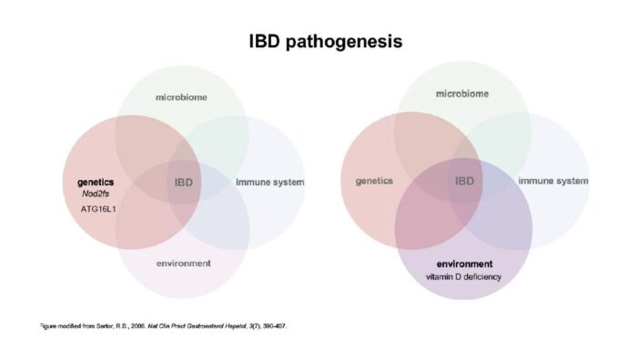 A Venn-diagram explaining how genetics, environmental factors, microbiome, and immune system intersects in the pathogenesis of IBD. The Jones lab studies on genetic factors like Nod2 frame shift and ATG16L1, and environmental factors like Vitamin D deficiency.