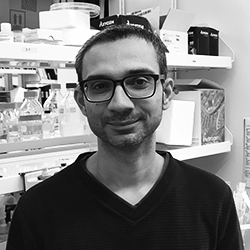 Ruku Ali Ruku Ali (Postdoctoral Fellow)