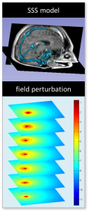 A graphic depicting a 3D model of the superior sagittal sinus, and the corresponding field perturbations caused by the vessel