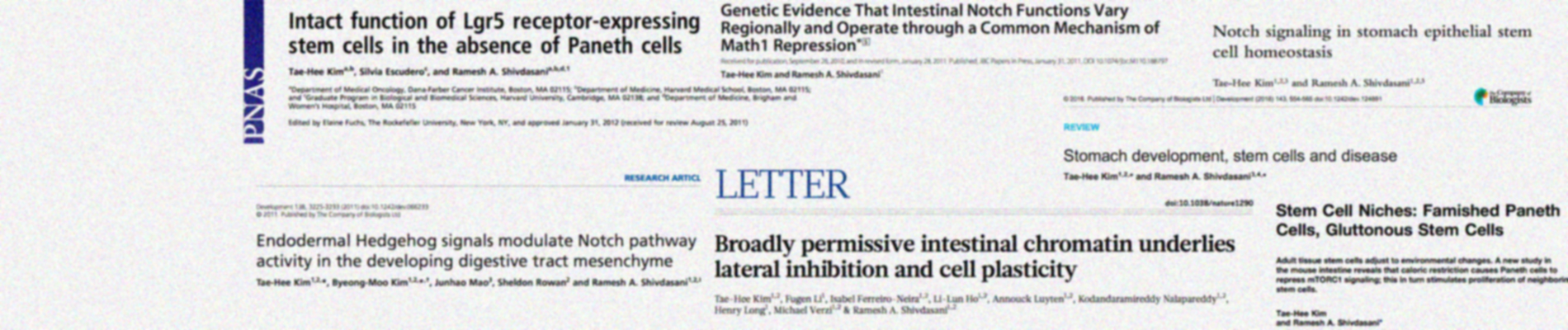 Publications - Kim Lab