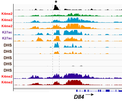 Epigenetics map