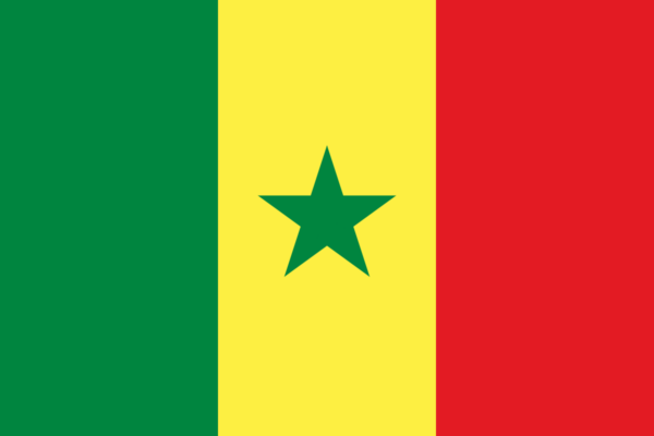 Senegal's flag, with green, yellow, and red vertical stripes and a green star at the center of the yellow column