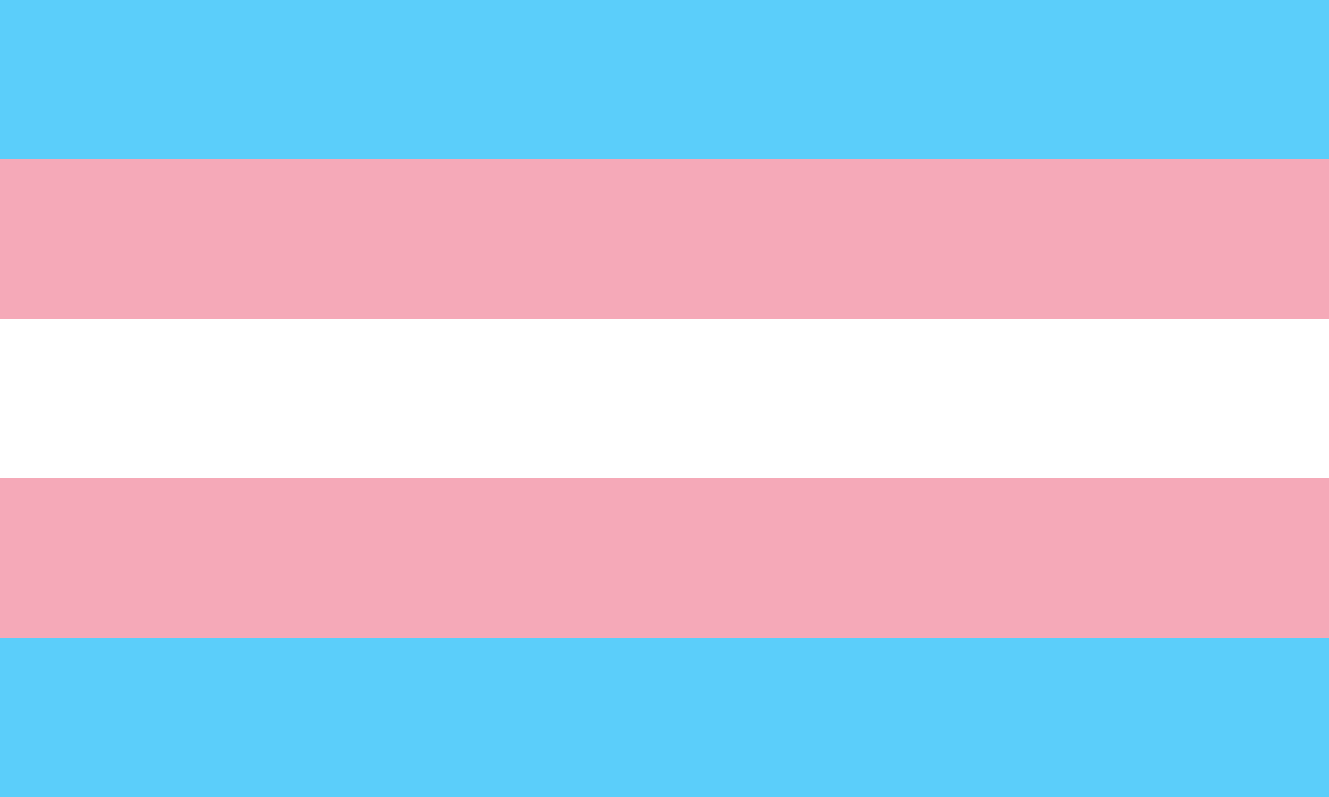transgender pride flag with light blue, pink, white, pink, and light blue horizontal lines