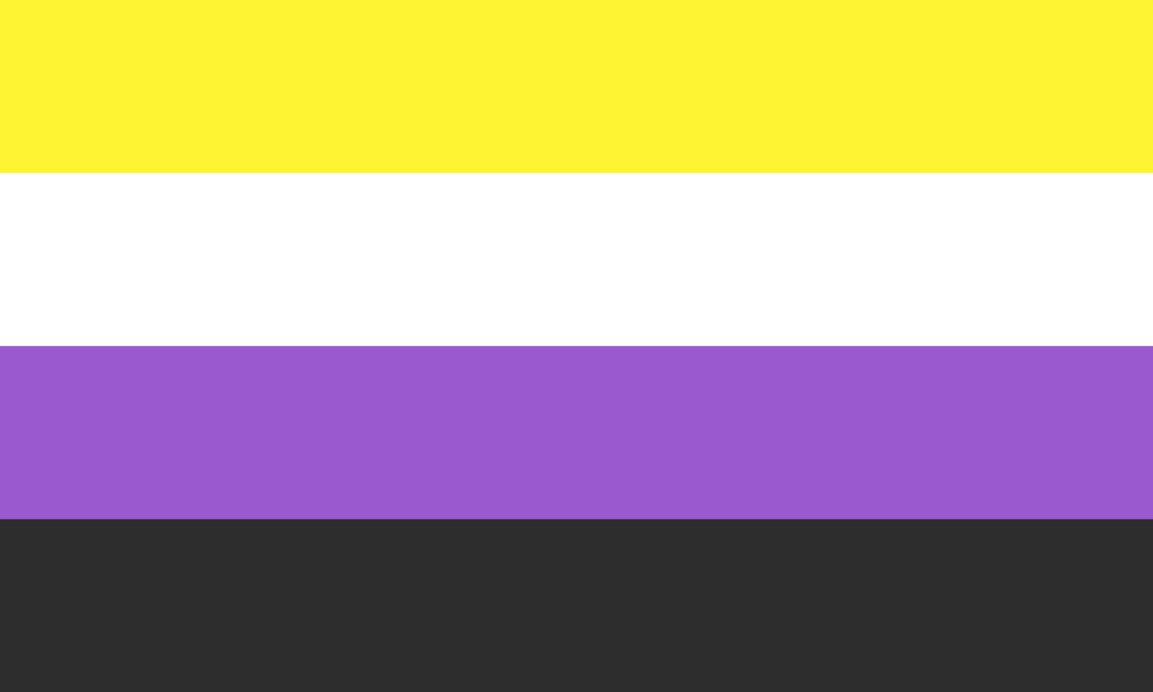 the nonbinary pride flag with yellow, white, purple and black horizontal lines