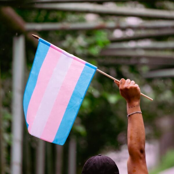 Click the image to learn more about the racialized gender diverse youth study. The photo depicts brown hand holding the blue, pink, and white transgender flag