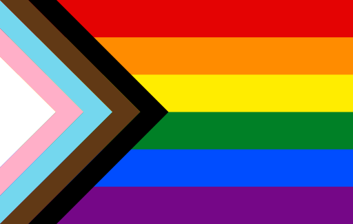 the progress pride flag with horizontal rainbow stripes, and arrow-shaped colours on the left side of the flag, with whit, pink and blue for the transgender flag and brown and black for queer and trans people of colour