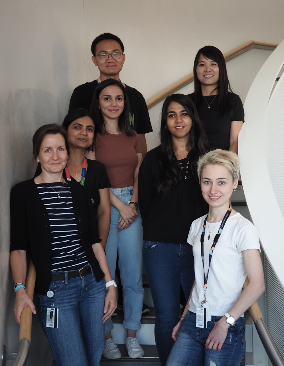 Members of the Li lab in the summer of 2019.