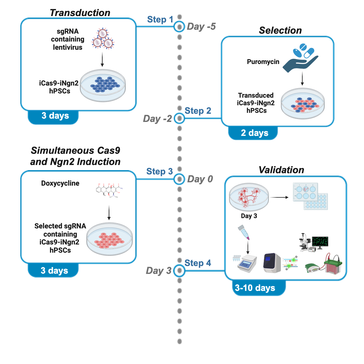 Publications - Li Lab