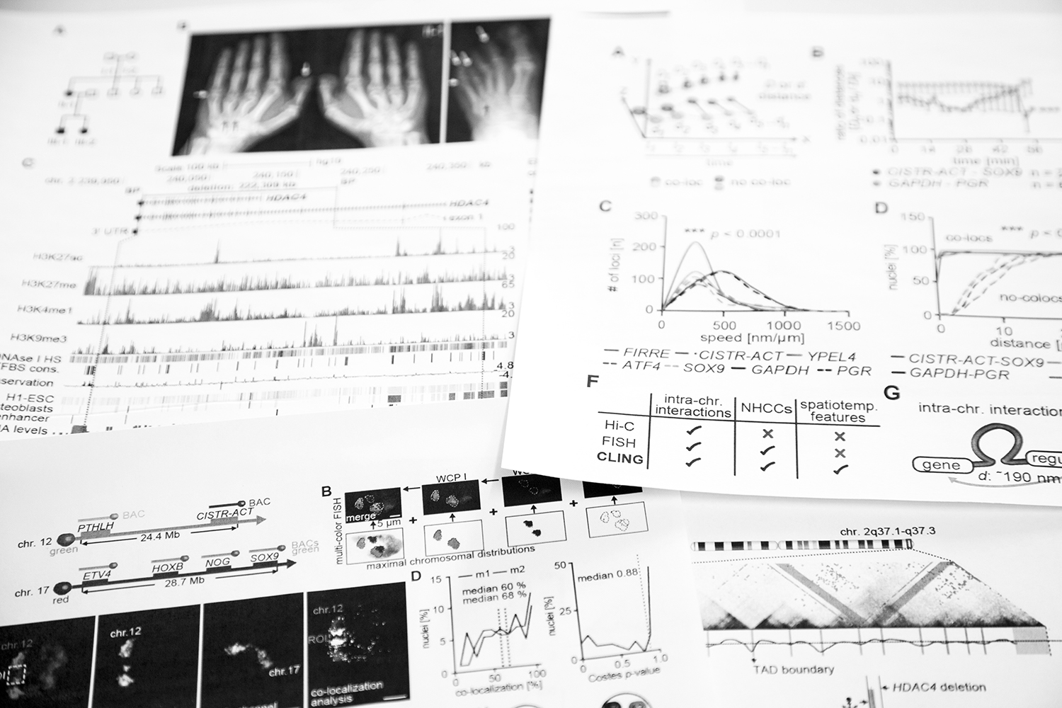 Philipp Maass' publications.
