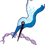 Illustration of blue heron bird holding broken DNA strand in its beak by Saba Birkadze