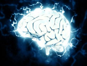 Image of a brain