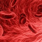 Image of blood cells