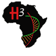 H3Africa Project Logo.