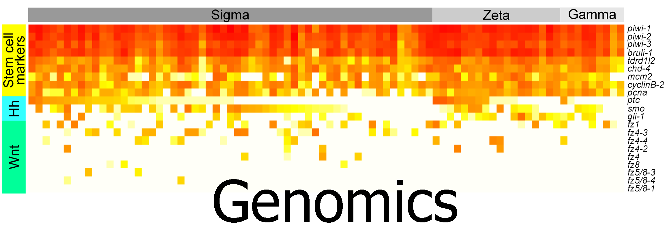 Heat map image for genomic projects in the lab