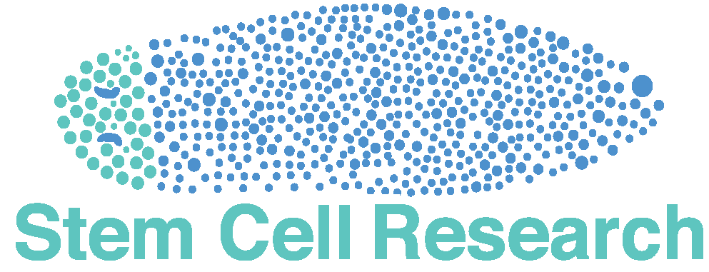 Image for stem cell research in the lab