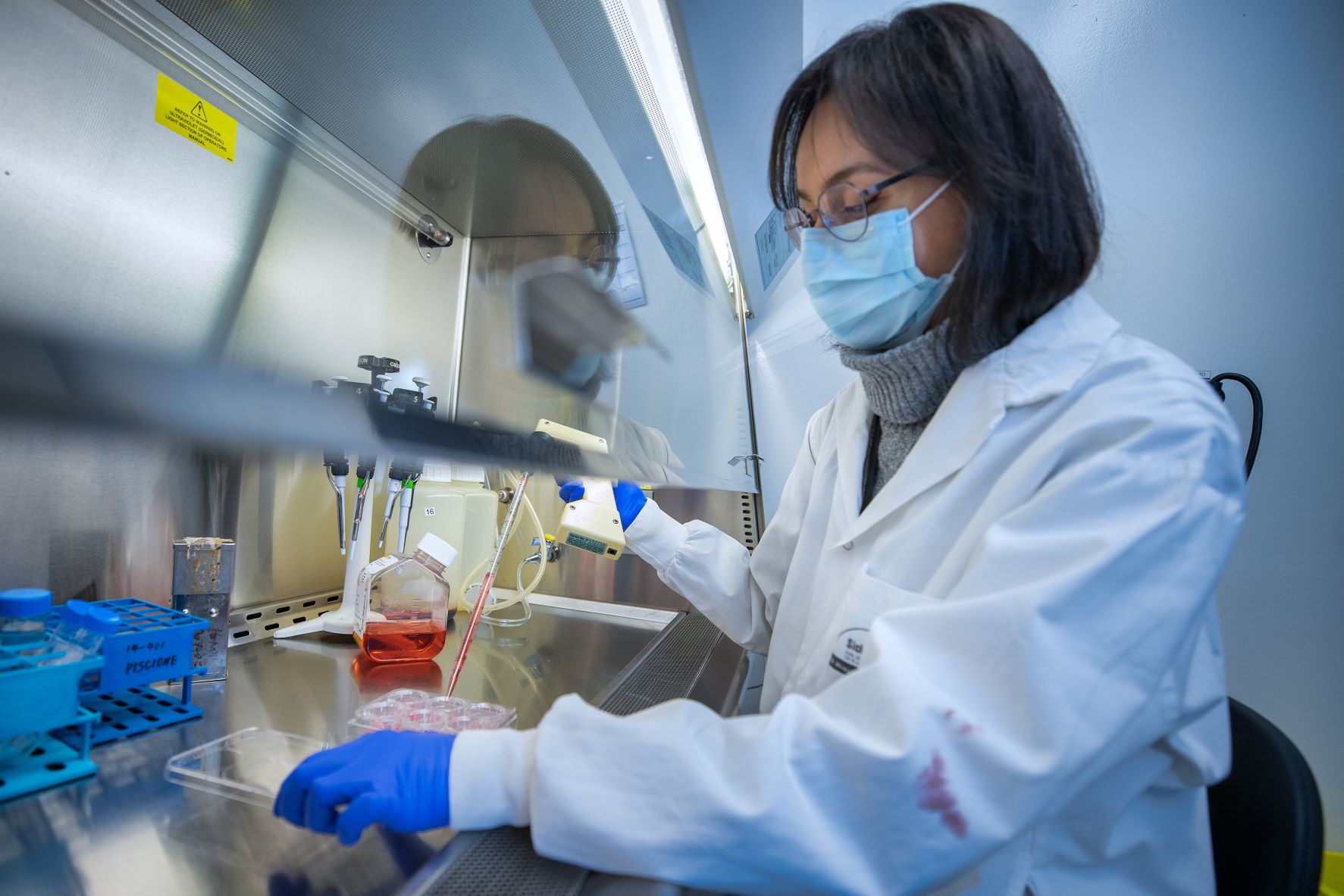 Research - Rosenblum Lab