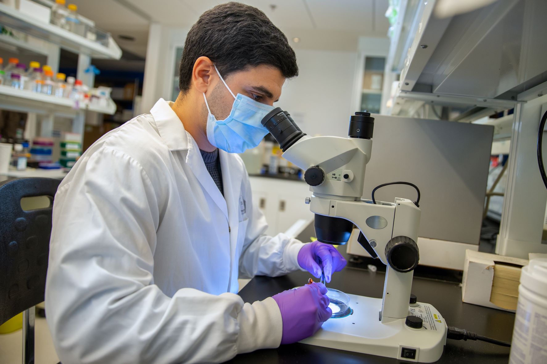 Research - Rosenblum Lab
