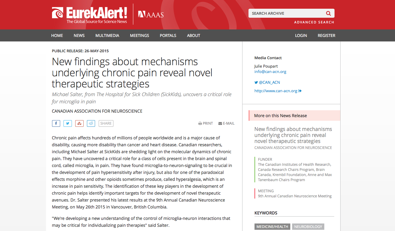 New findings about mechanisms underlying chronic pain reveal novel therapeutic strategies