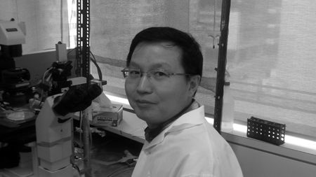 Dr. Wenbo Zhang