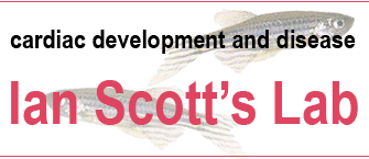Ian Scott Lab