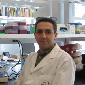 Mohsen Esmaeili, PhD
