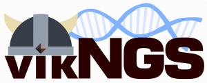 vikngs logo