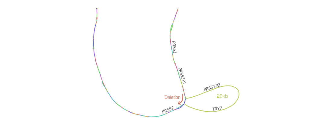 Long-read sequencing