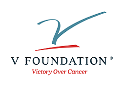 V Foundation Website