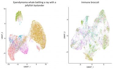 Dimension reduction in tumor and immune cells