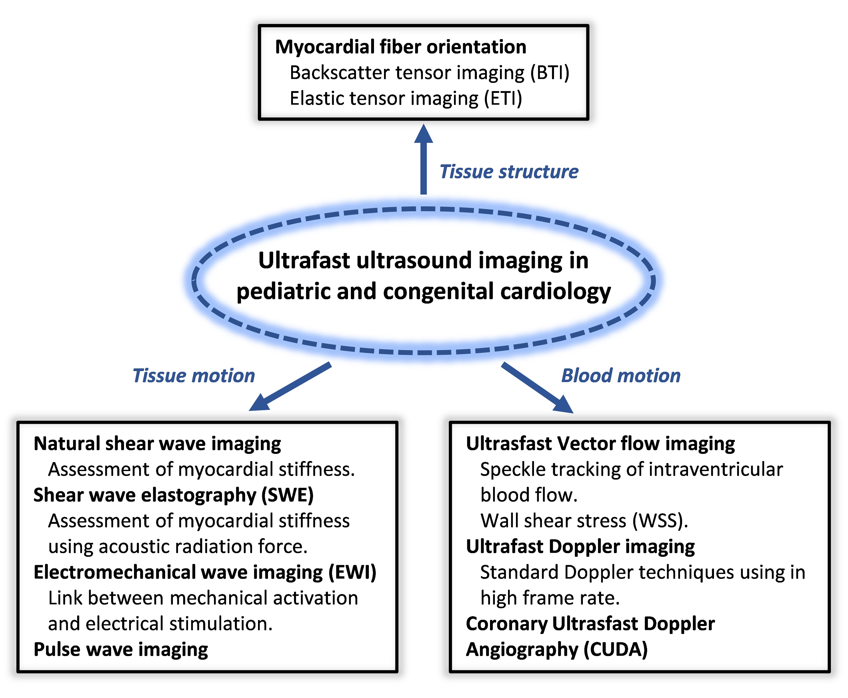 Possible applications of Ultrafast Ultrasound Imaging in pediatric cardiology