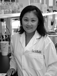 Dr. Amy Wong - Scientist in Developmental and Stem Cell Biology Program
