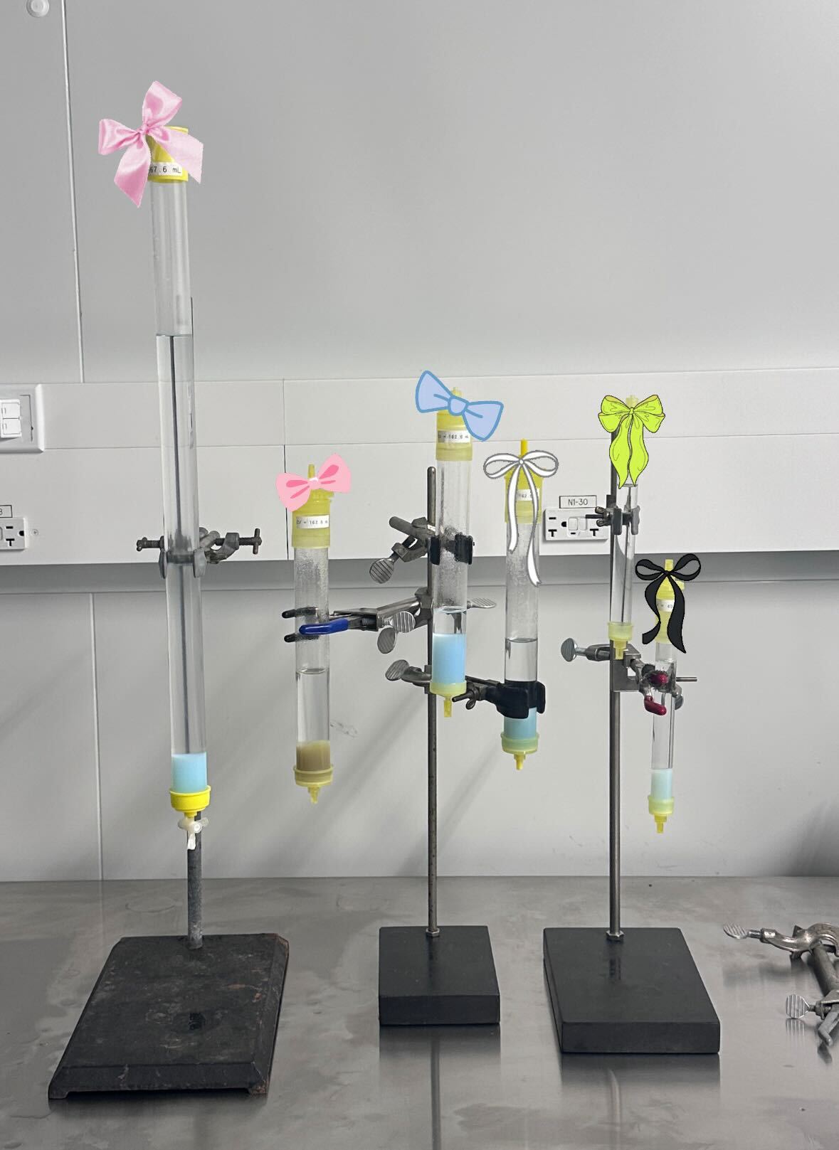 IMG_0477 Six chromatography columns on a lab bench, each with a colored bow (from left to right: light pink, pink, blue, white, green, black) tied at the top; columns are clamped to stands and have yellow caps at the bottom.